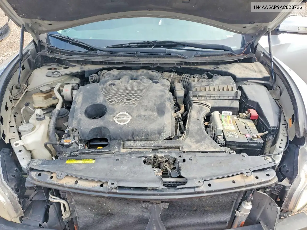 2010 Nissan Maxima 3.5 S VIN: 1N4AA5AP9AC828726 Lot: 61153126