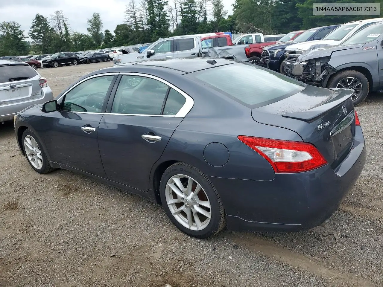 2010 Nissan Maxima 3.5 S VIN: 1N4AA5AP6AC817313 Lot: 62033386