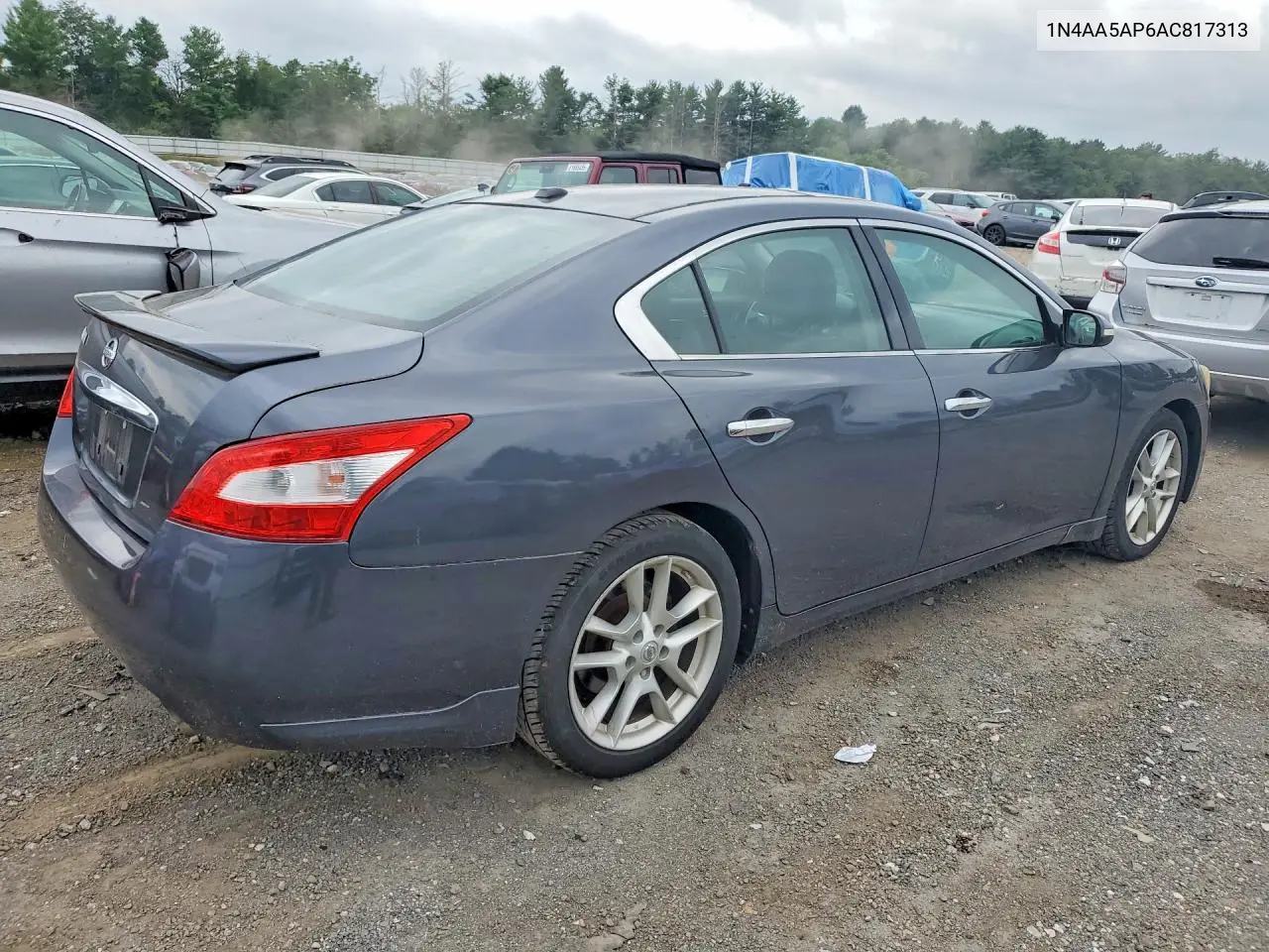 2010 Nissan Maxima 3.5 S VIN: 1N4AA5AP6AC817313 Lot: 62033386