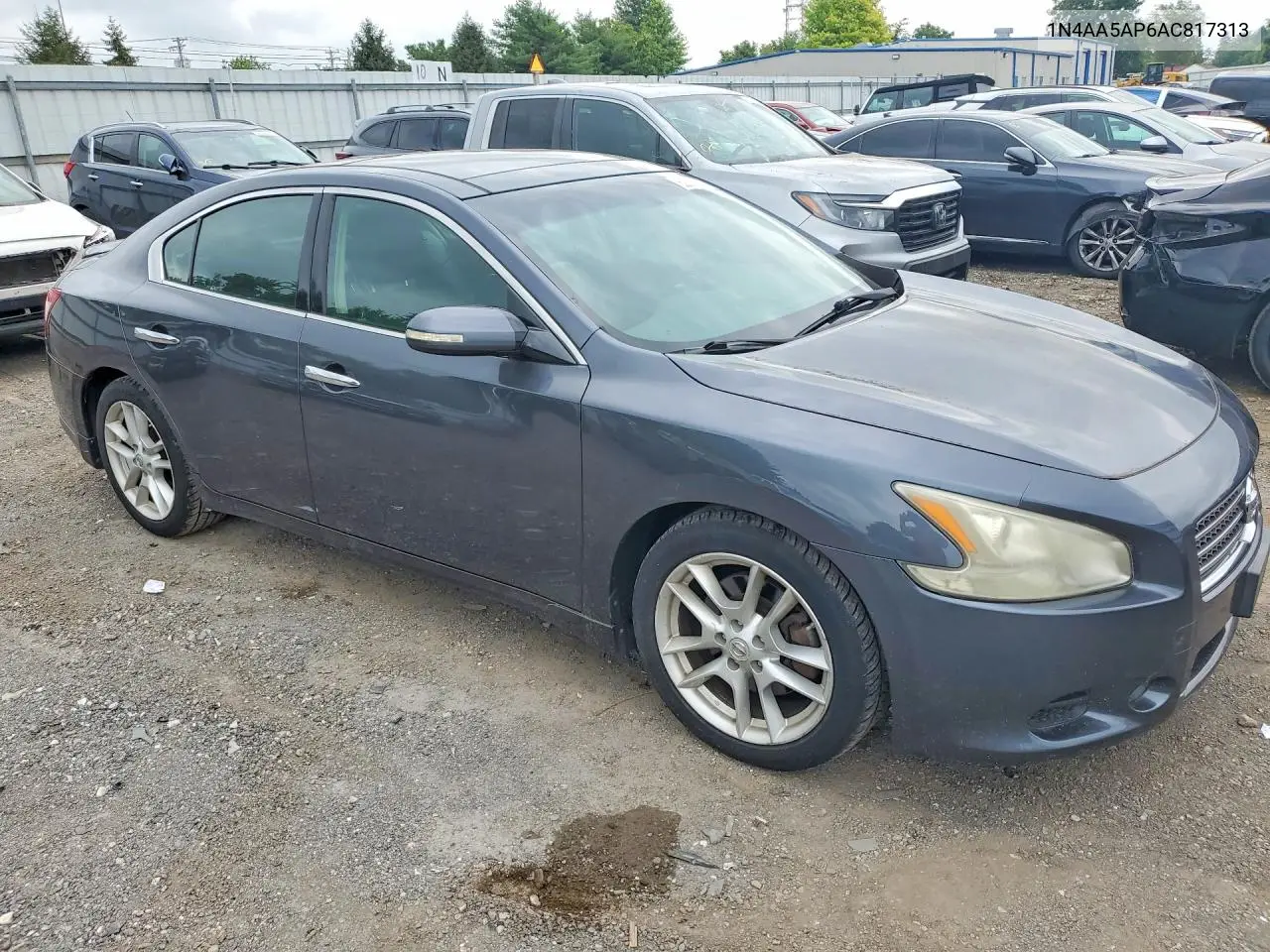 2010 Nissan Maxima 3.5 S VIN: 1N4AA5AP6AC817313 Lot: 62033386