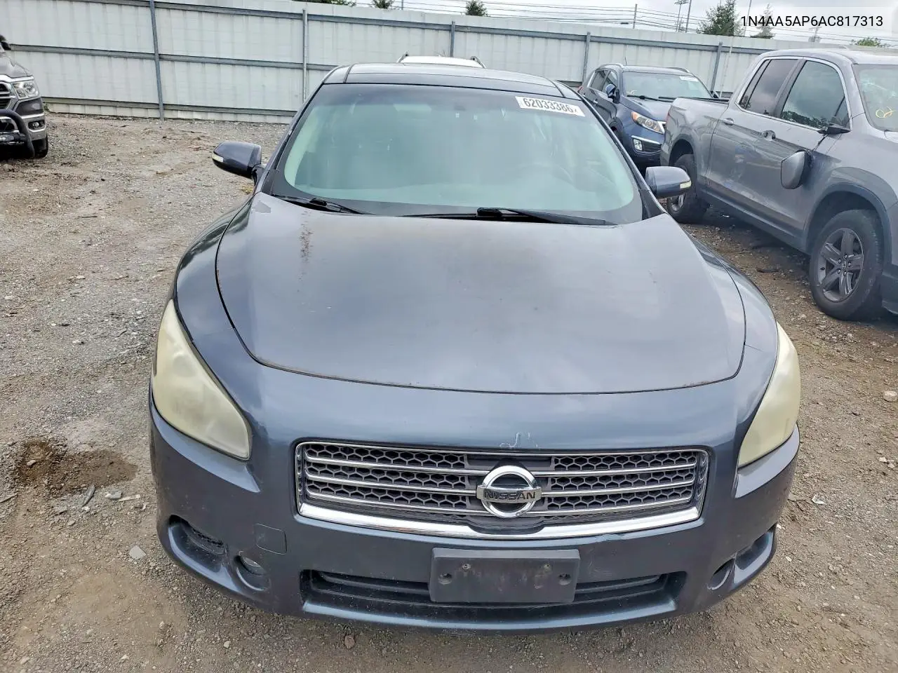 2010 Nissan Maxima 3.5 S VIN: 1N4AA5AP6AC817313 Lot: 62033386