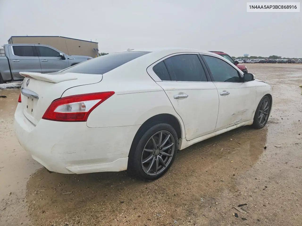 2011 Nissan Maxima 3.5 S VIN: 1N4AA5AP3BC868916 Lot: 61171826