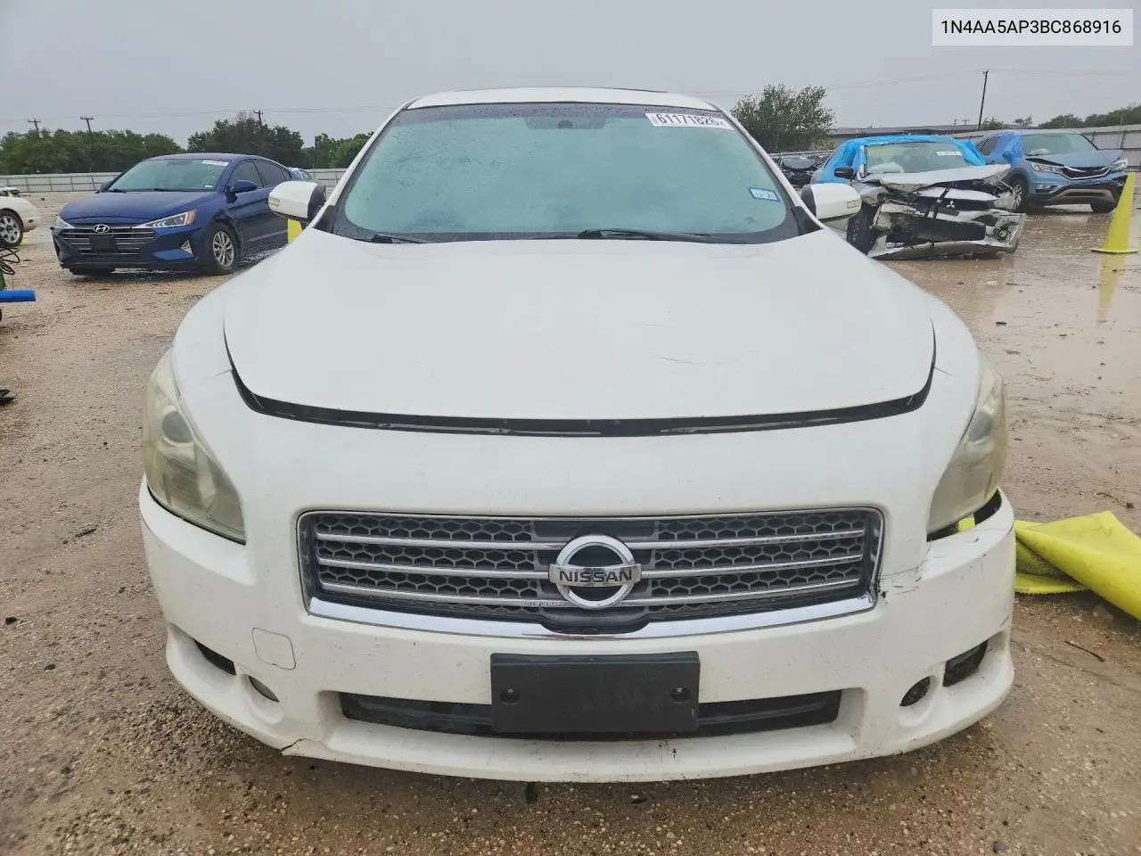 2011 Nissan Maxima 3.5 S VIN: 1N4AA5AP3BC868916 Lot: 61171826