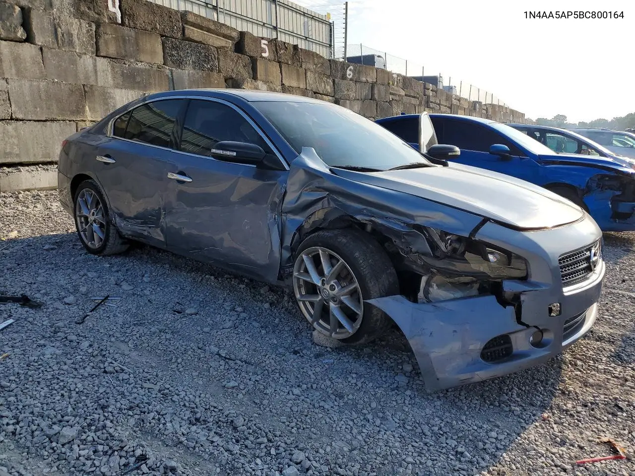 2011 Nissan Maxima 3.5 S VIN: 1N4AA5AP5BC800164 Lot: 61564756