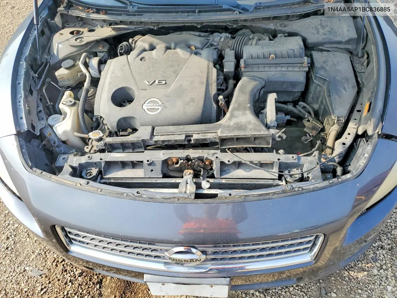2012 Nissan Maxima VIN: 1N4AA5AP1BC836885 Lot: 61603876