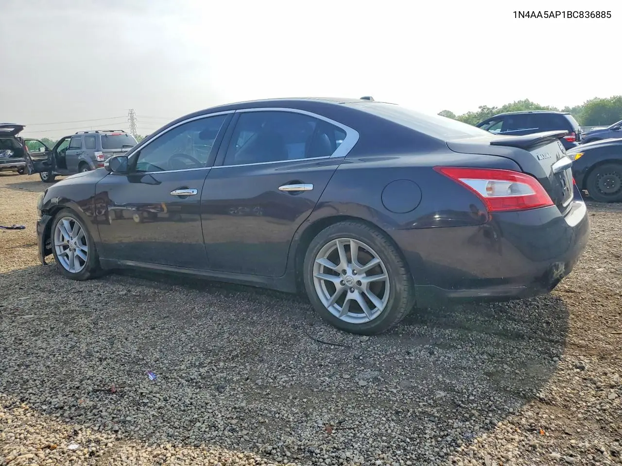 2012 Nissan Maxima VIN: 1N4AA5AP1BC836885 Lot: 61603876