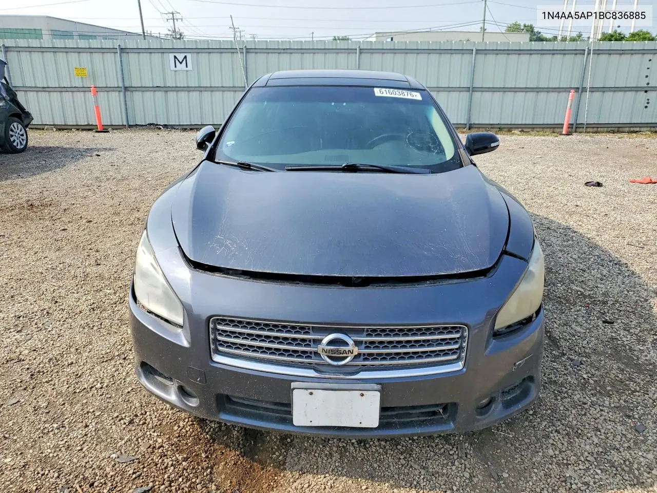2012 Nissan Maxima VIN: 1N4AA5AP1BC836885 Lot: 61603876