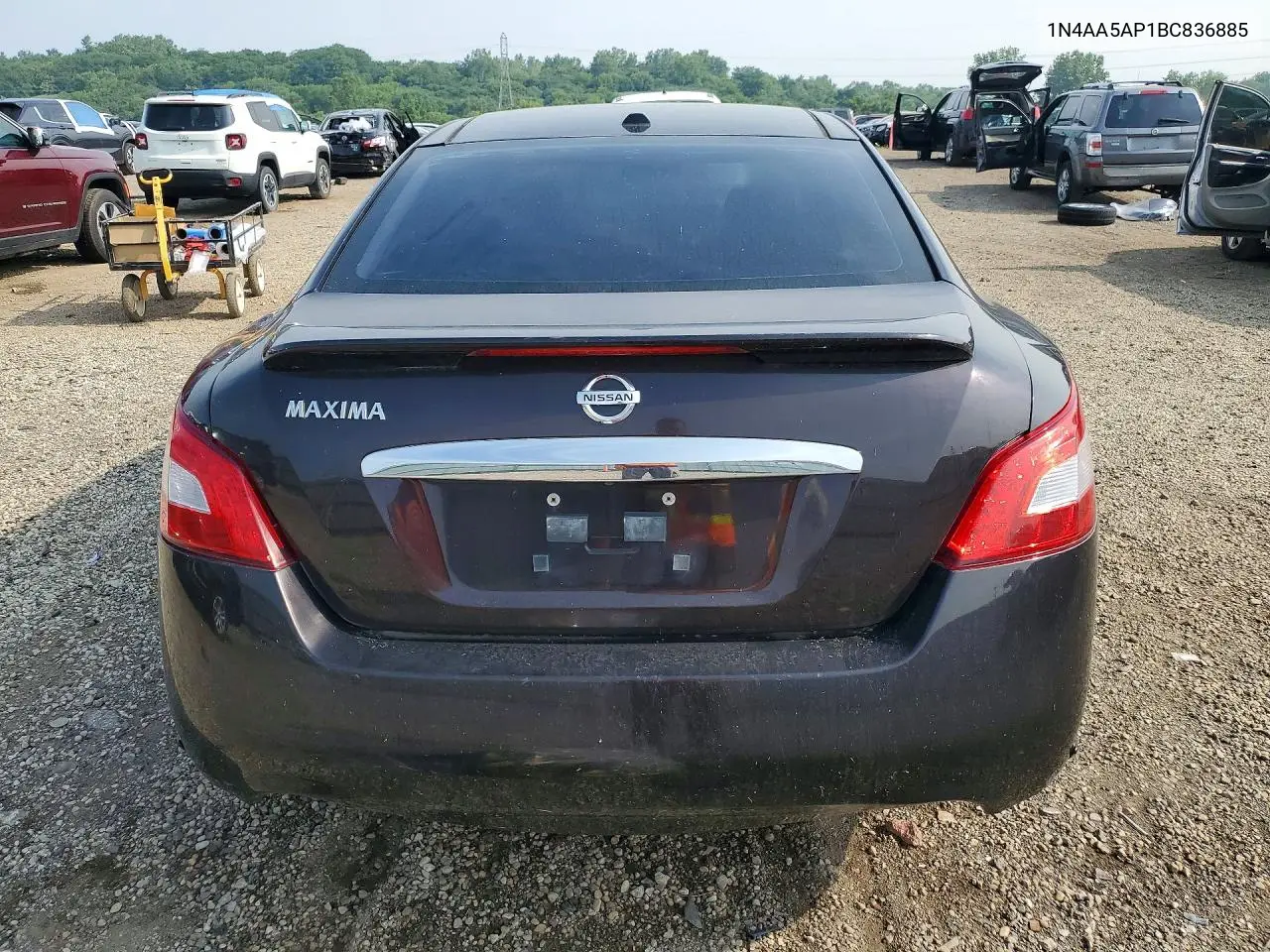 2012 Nissan Maxima VIN: 1N4AA5AP1BC836885 Lot: 61603876