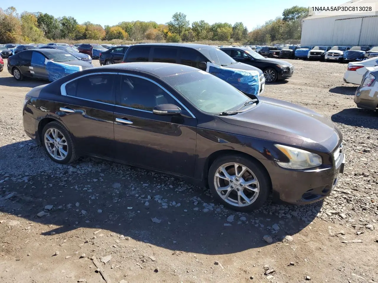 1N4AA5AP3DC813028 2013 Niss Maxima S