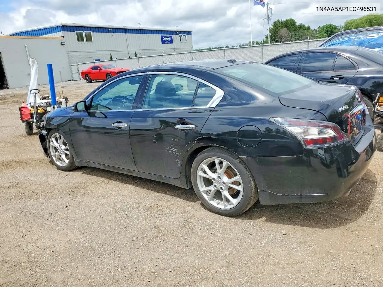 2014 Nissan Maxima 3.5 S VIN: 1N4AA5AP1EC496531 Lot: 56418526