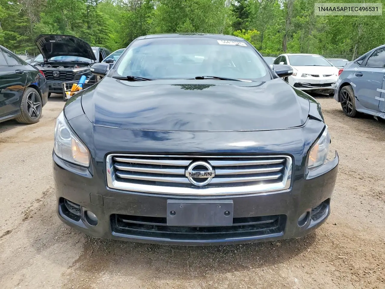 2014 Nissan Maxima 3.5 S VIN: 1N4AA5AP1EC496531 Lot: 56418526