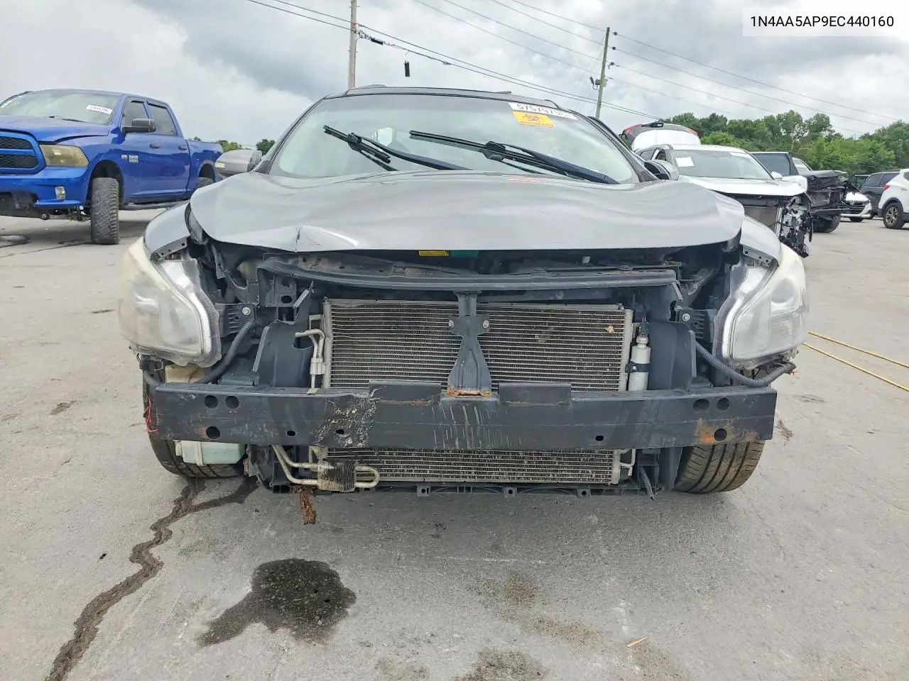 2014 Nissan Maxima 3.5 Sv VIN: 1N4AA5AP9EC440160 Lot: 57579796