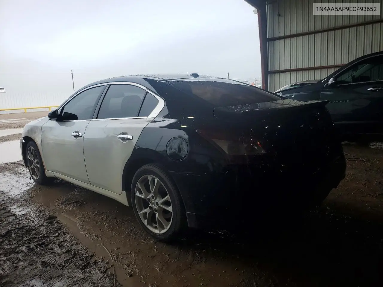 2014 Nissan Maxima 3.5 Sv VIN: 1N4AA5AP9EC493652 Lot: 60516766