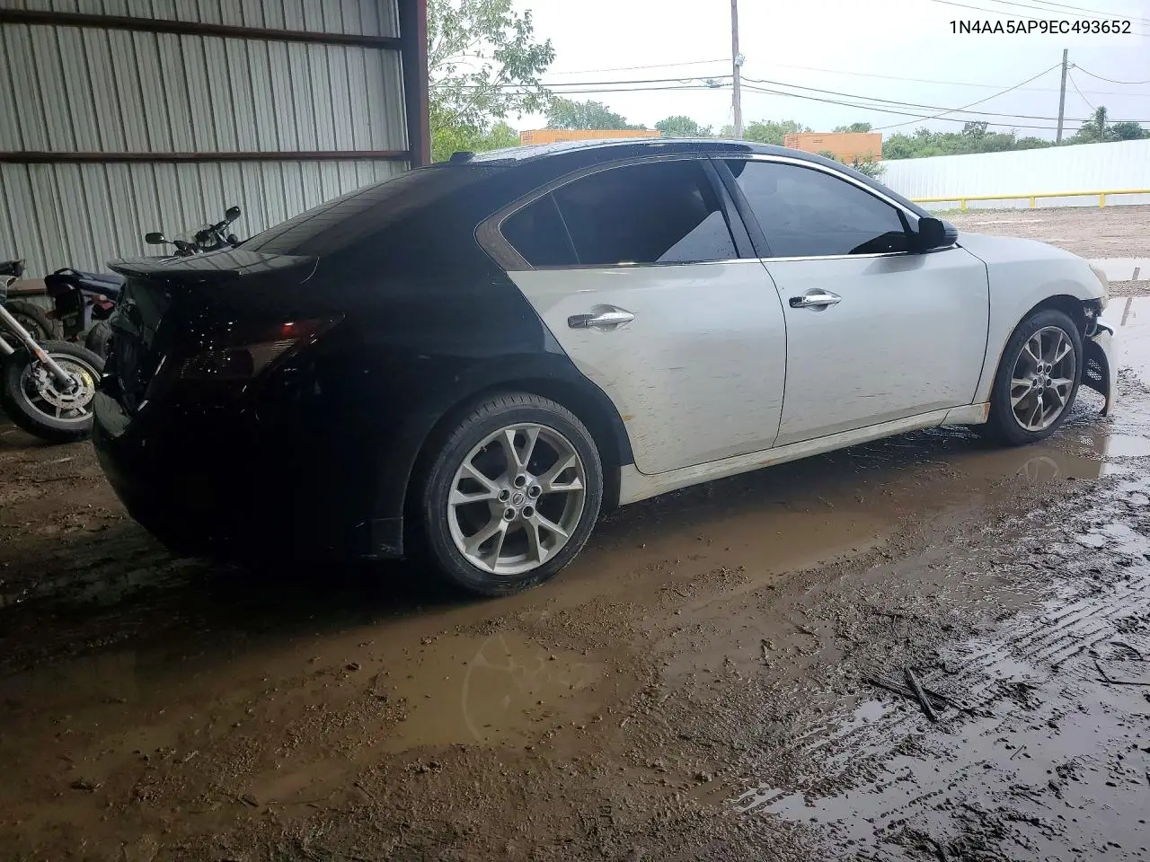 2014 Nissan Maxima 3.5 Sv VIN: 1N4AA5AP9EC493652 Lot: 60516766