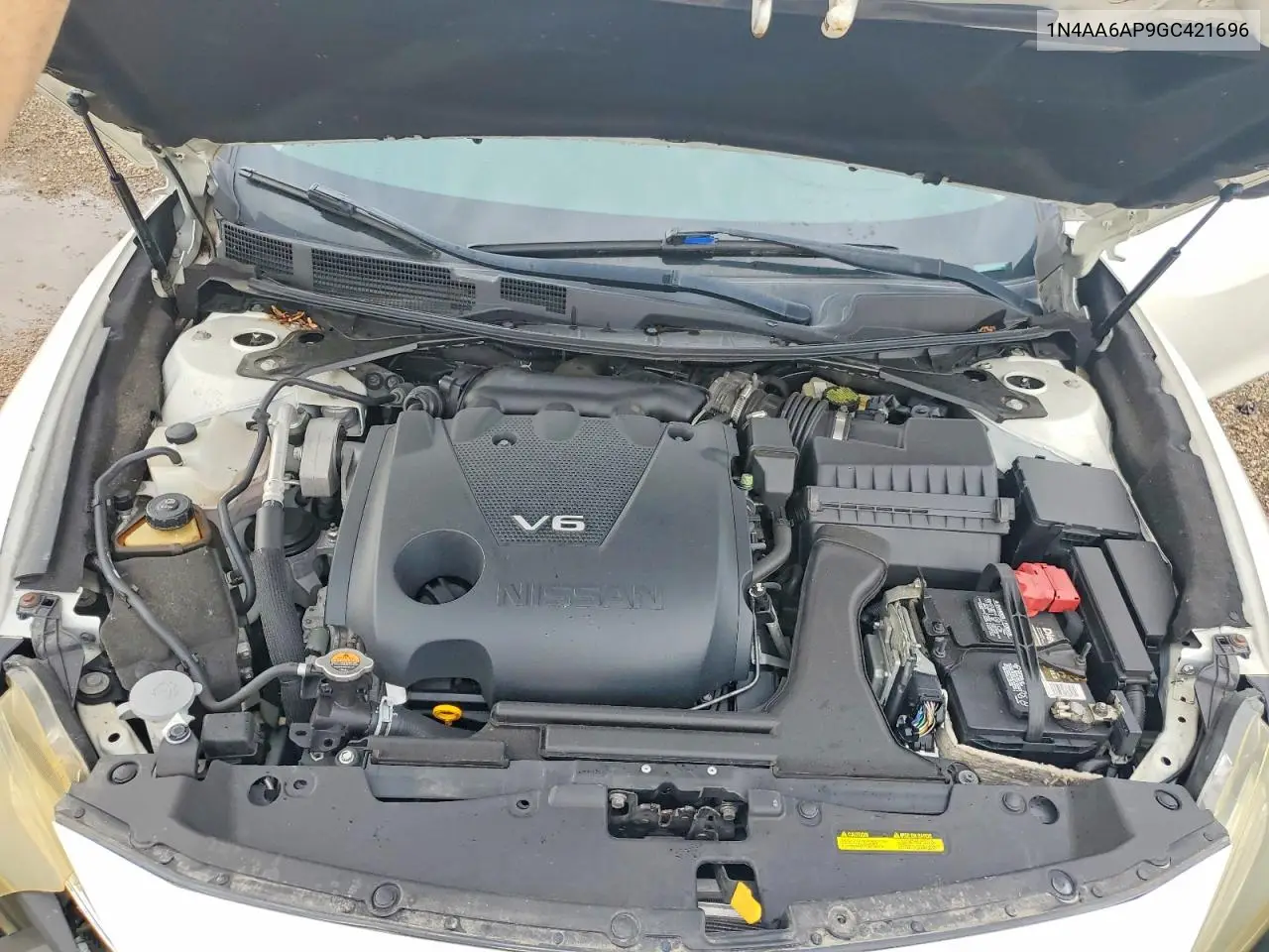 VIII (A36)
