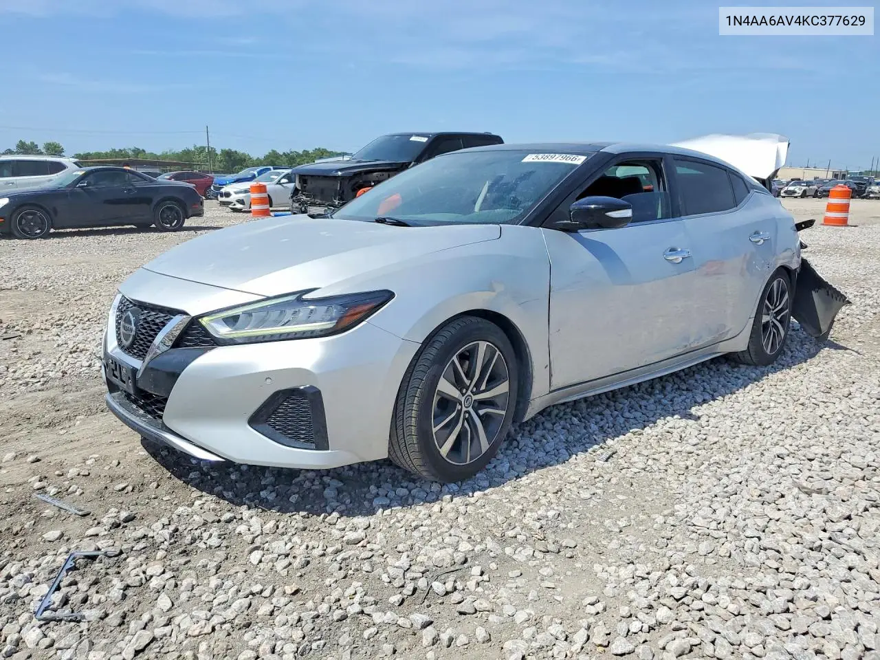 2019 Nissan Maxima 3.5 Sl VIN: 1N4AA6AV4KC377629 Lot: 53897966