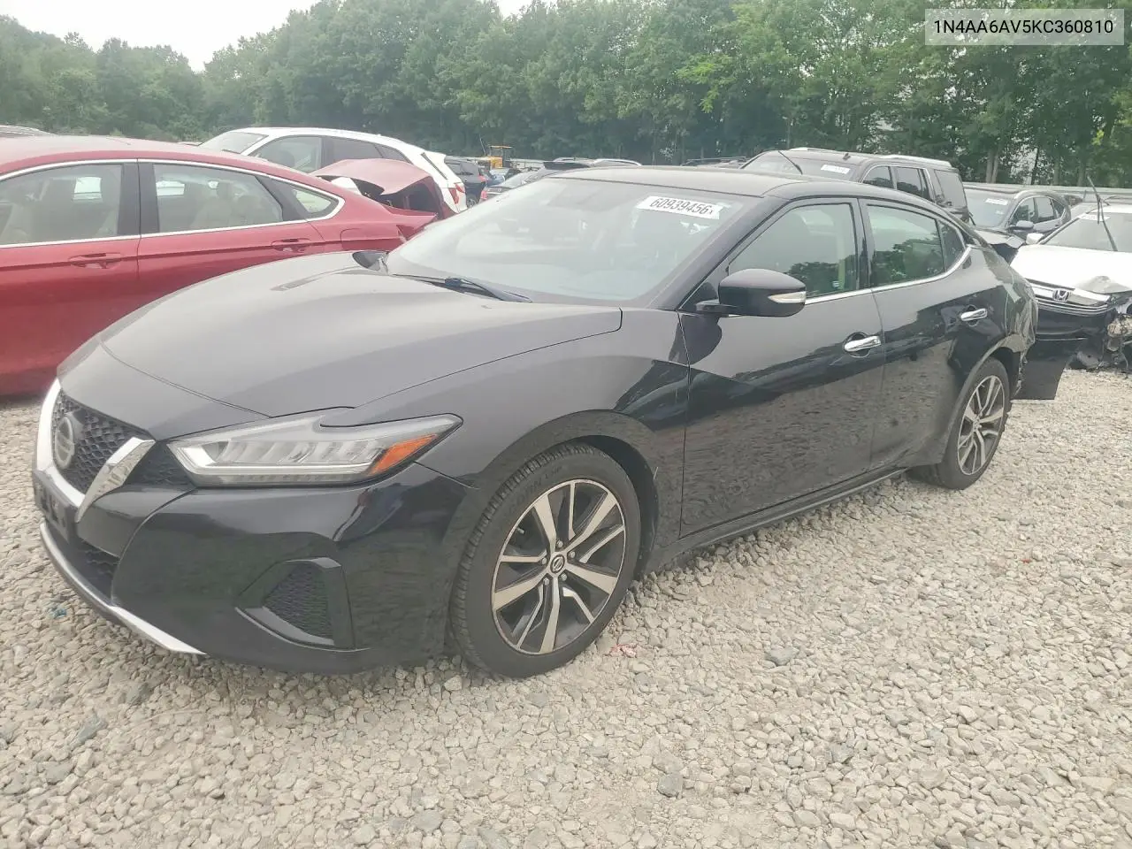 2019 Nissan Maxima 3.5 Sv VIN: 1N4AA6AV5KC360810 Lot: 60939456