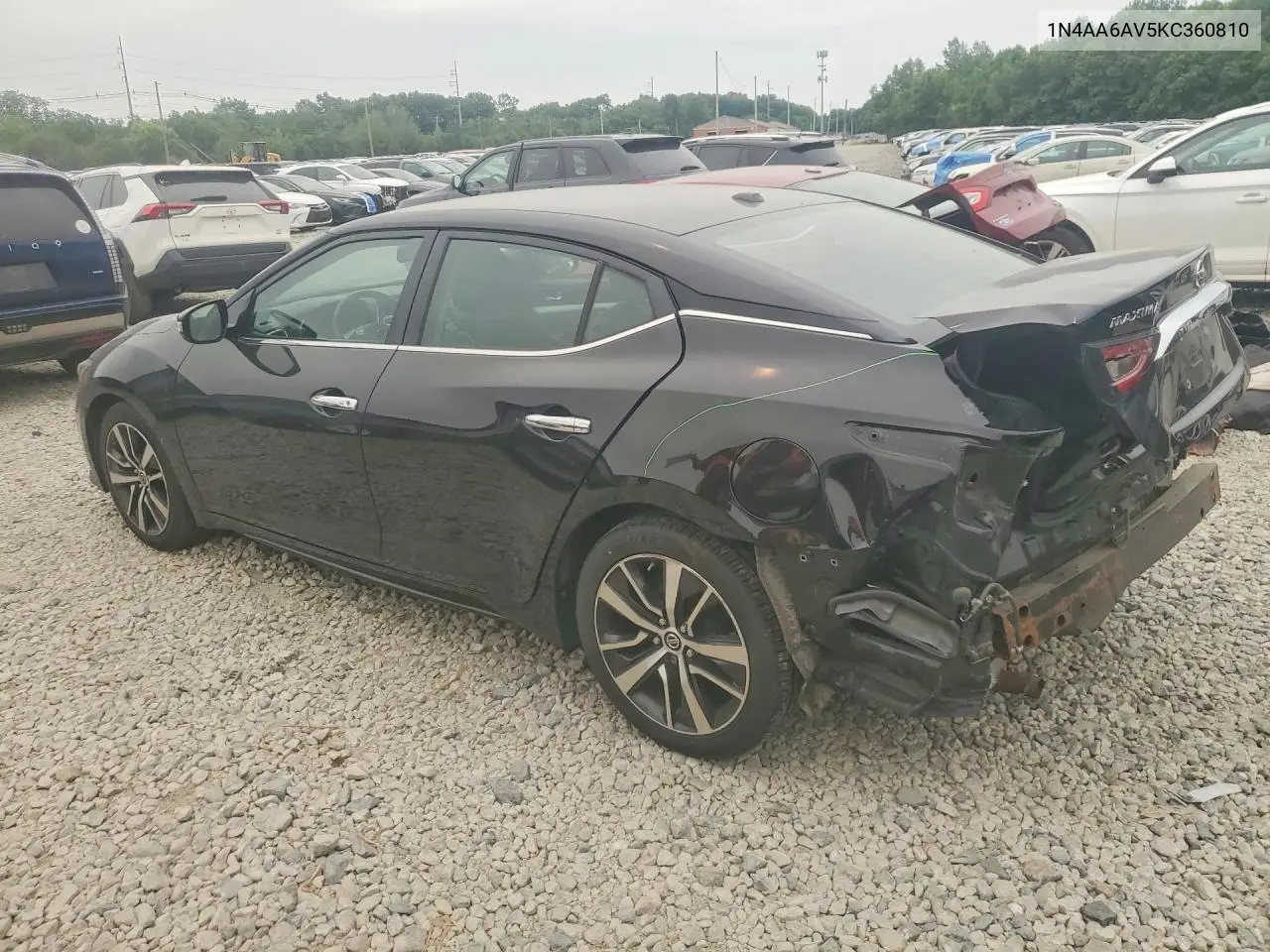 2019 Nissan Maxima 3.5 Sv VIN: 1N4AA6AV5KC360810 Lot: 60939456
