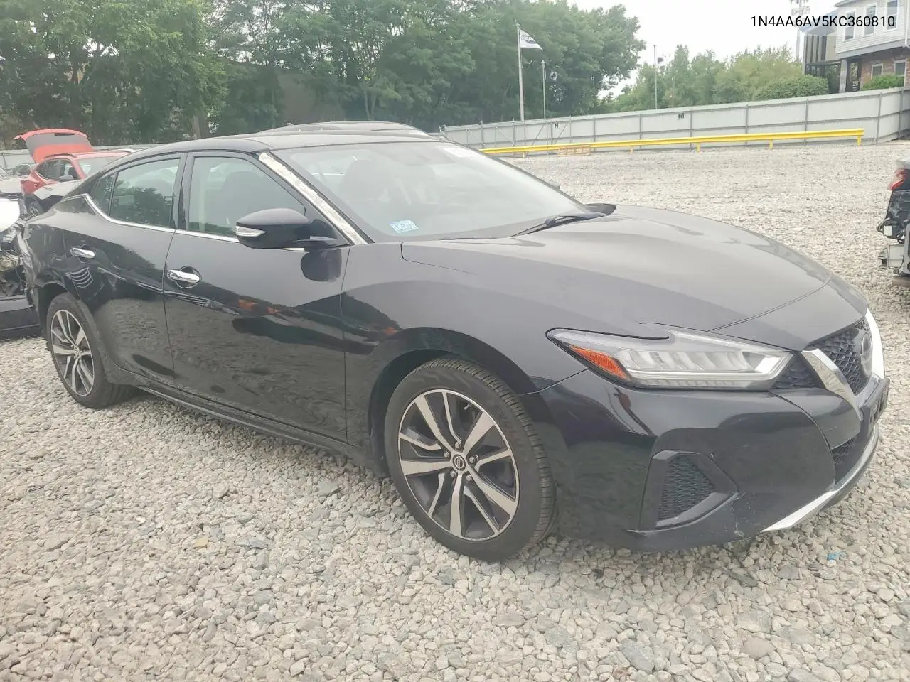2019 Nissan Maxima 3.5 Sv VIN: 1N4AA6AV5KC360810 Lot: 60939456