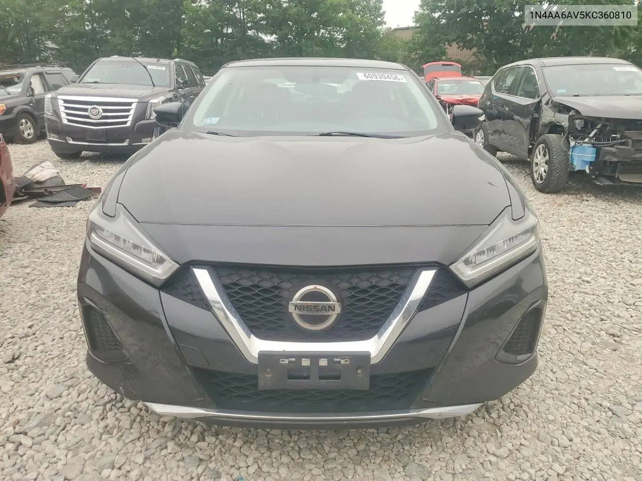 2019 Nissan Maxima 3.5 Sv VIN: 1N4AA6AV5KC360810 Lot: 60939456