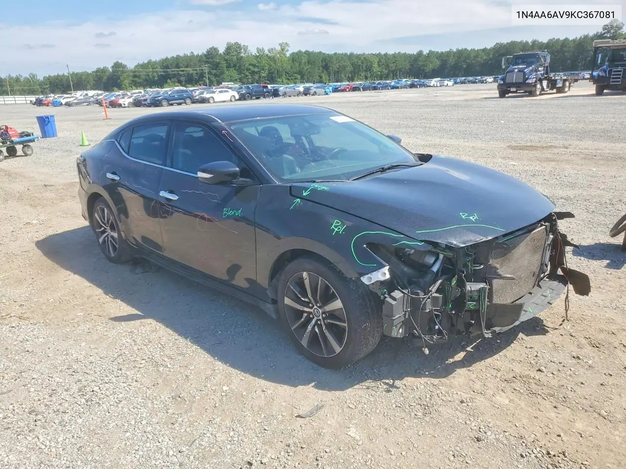 2019 Nissan Maxima 3.5 Sv VIN: 1N4AA6AV9KC367081 Lot: 61019496