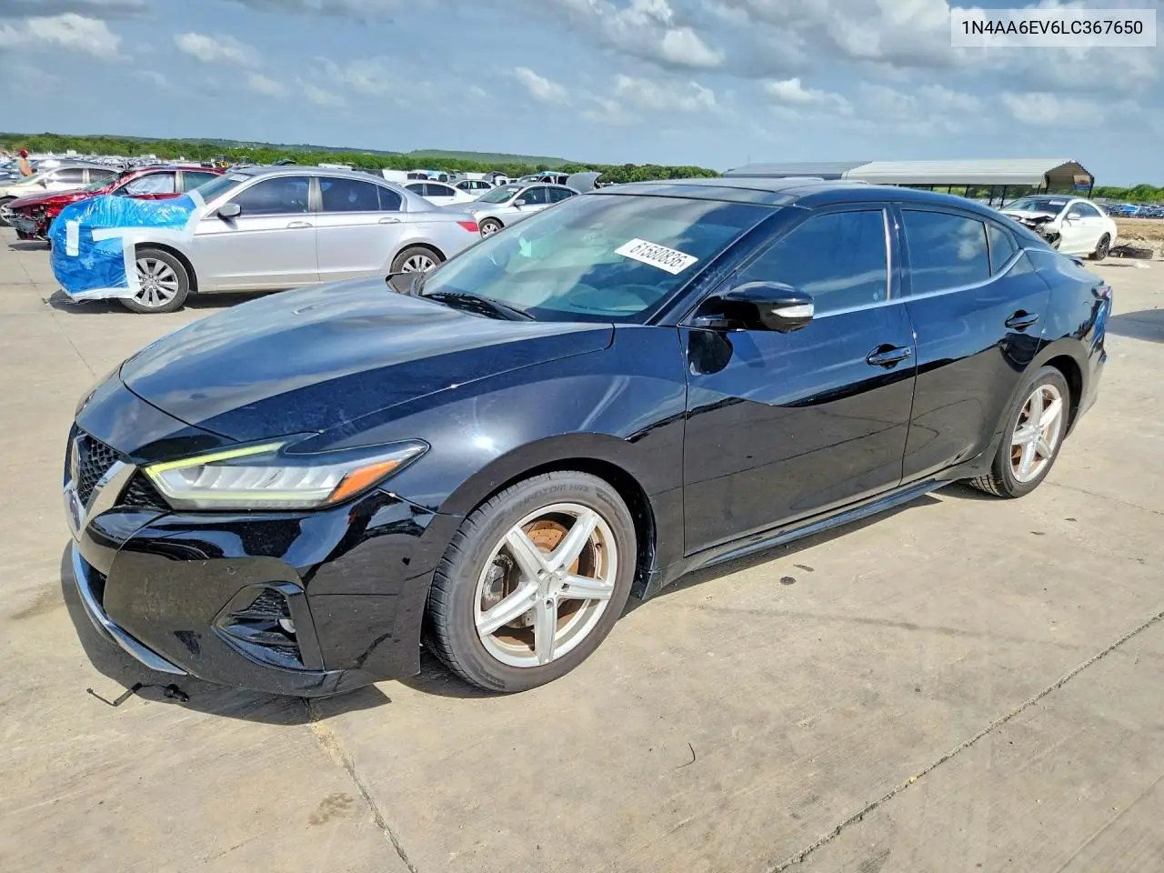 2020 Nissan Maxima Sr VIN: 1N4AA6EV6LC367650 Lot: 61580836