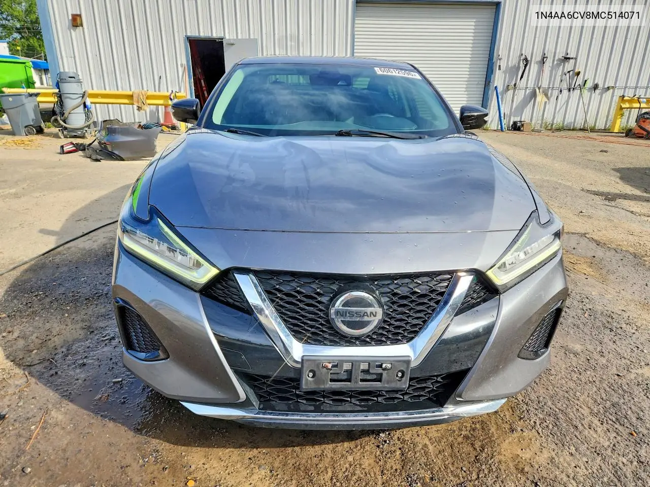 2021 Nissan Maxima Sv VIN: 1N4AA6CV8MC514071 Lot: 60612596
