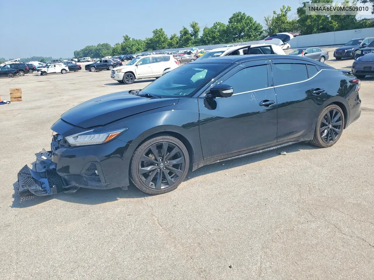 2021 Nissan Maxima Sr VIN: 1N4AA6EV0MC509010 Lot: 61125326