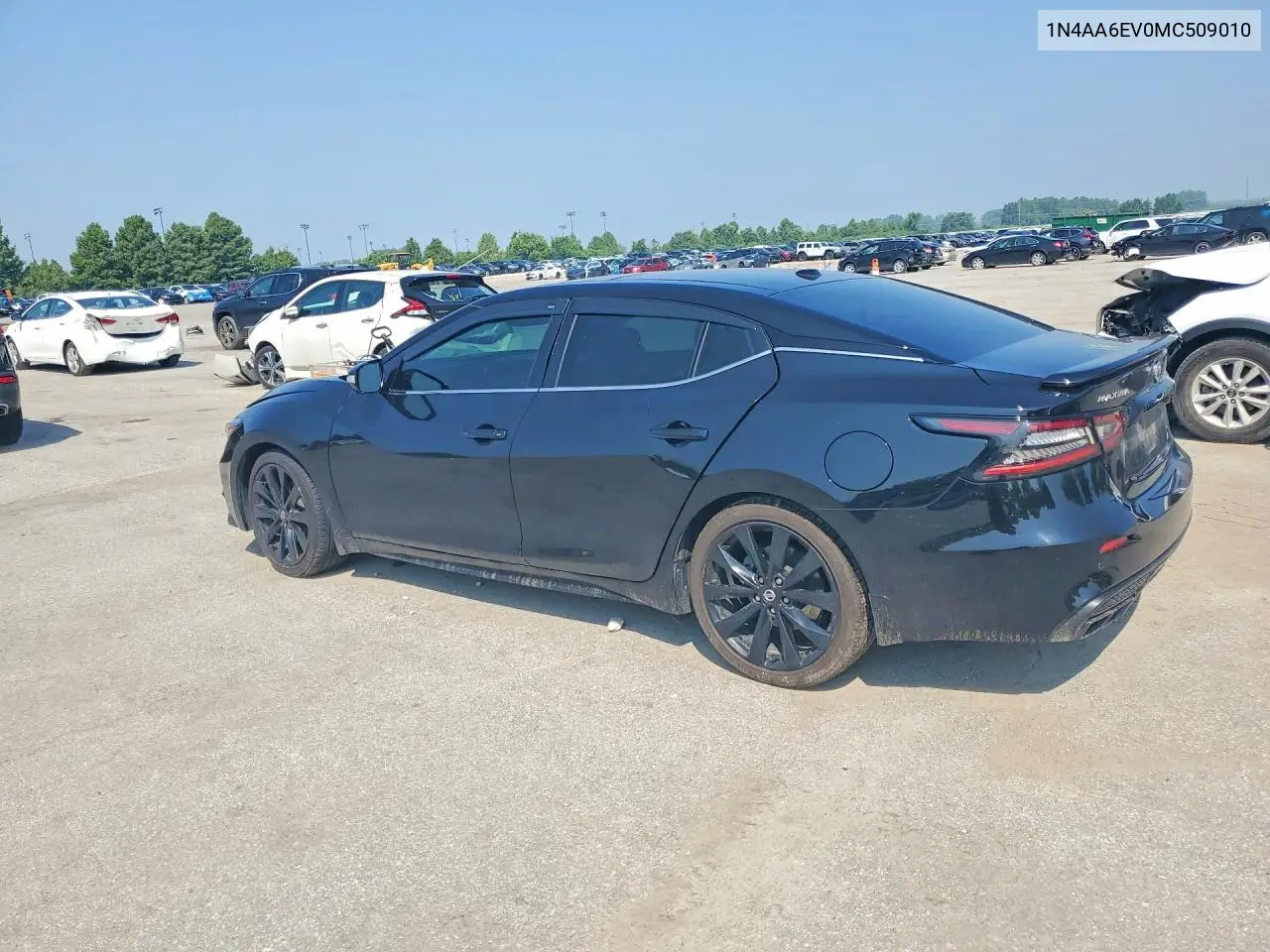 2021 Nissan Maxima Sr VIN: 1N4AA6EV0MC509010 Lot: 61125326