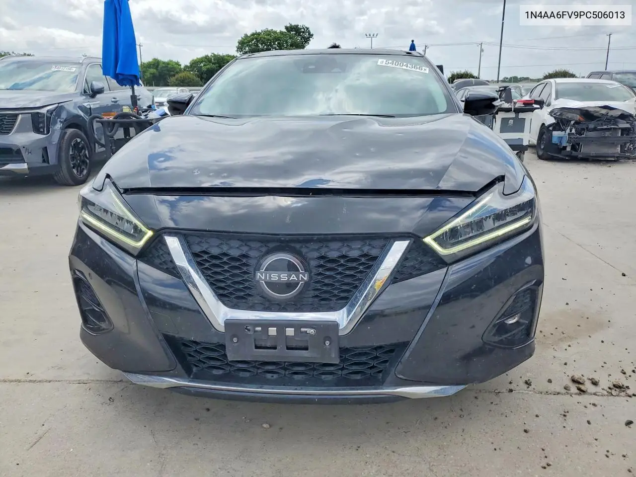 Maxima