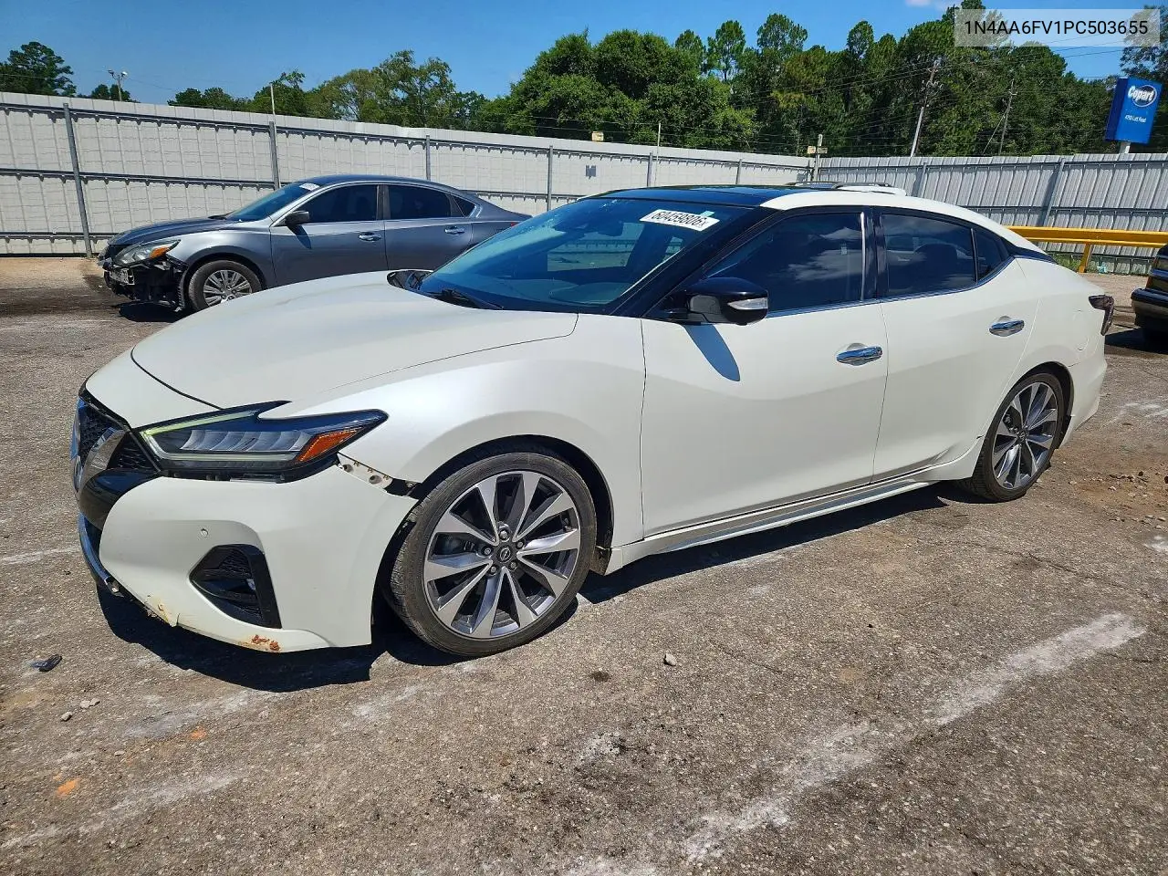 2023 Nissan Maxima Platinum VIN: 1N4AA6FV1PC503655 Lot: 60459806
