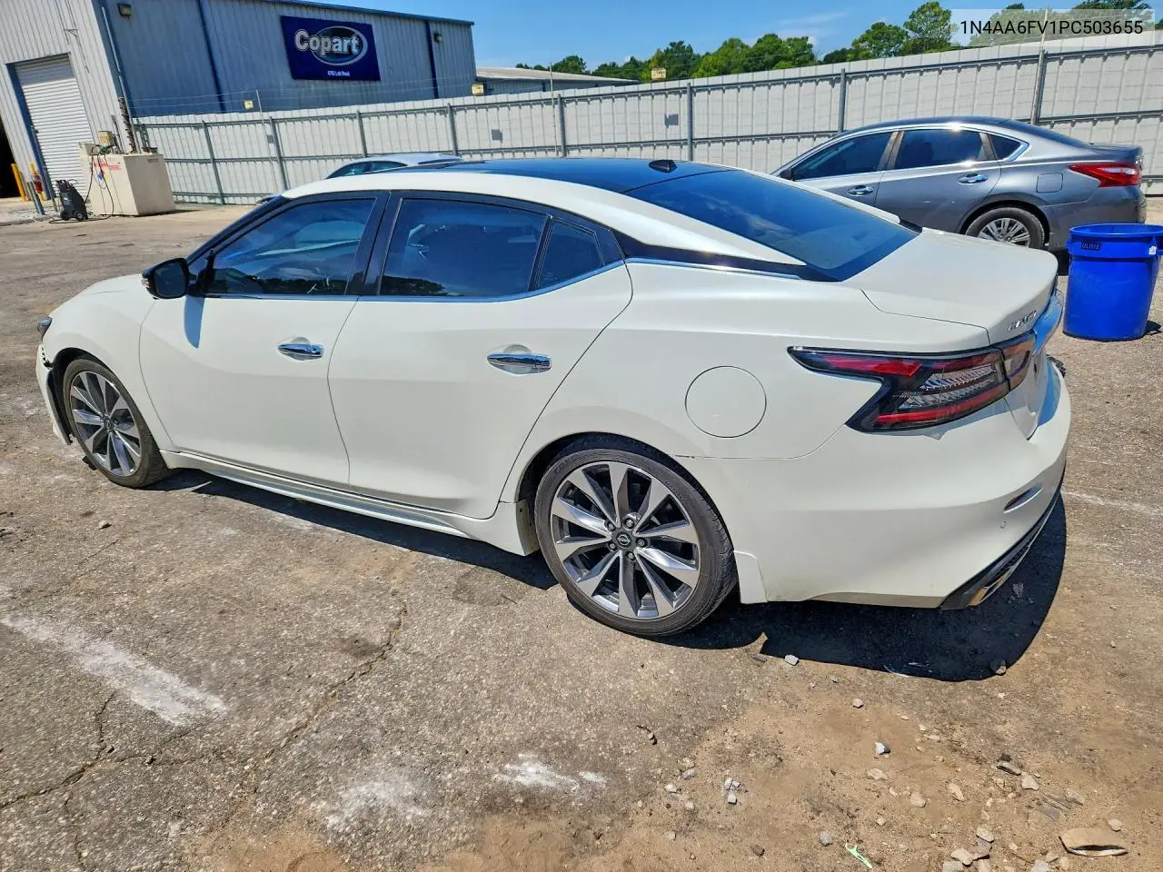 2023 Nissan Maxima Platinum VIN: 1N4AA6FV1PC503655 Lot: 60459806