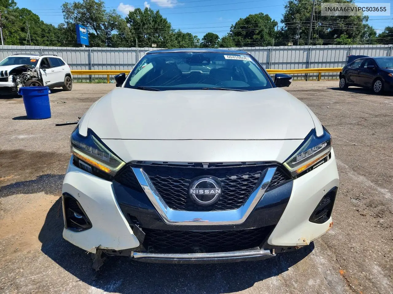 2023 Nissan Maxima Platinum VIN: 1N4AA6FV1PC503655 Lot: 60459806