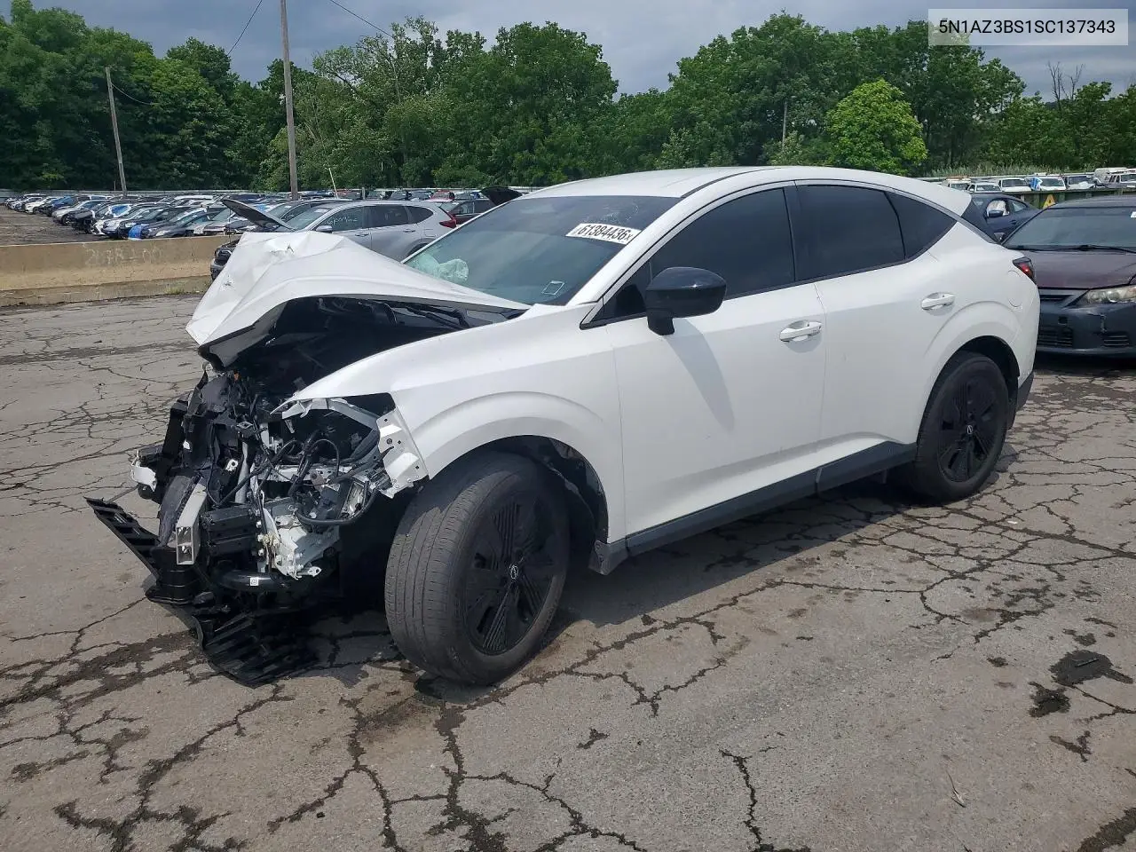 2025 Nissan Murano Sv VIN: 5N1AZ3BS1SC137343 Lot: 61384436