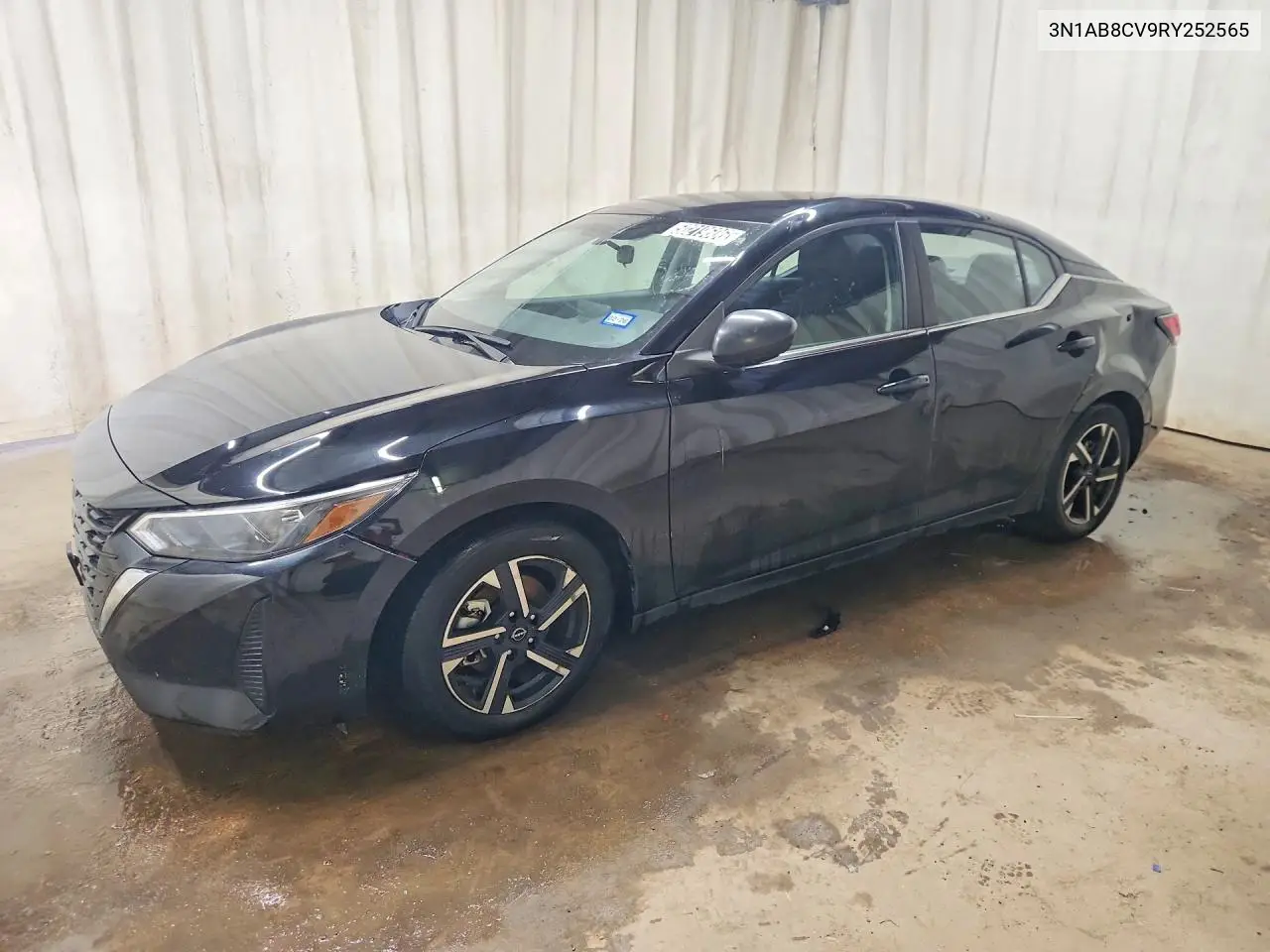 2024 Nissan Sentra Sv VIN: 3N1AB8CV9RY252565 Lot: 50219606