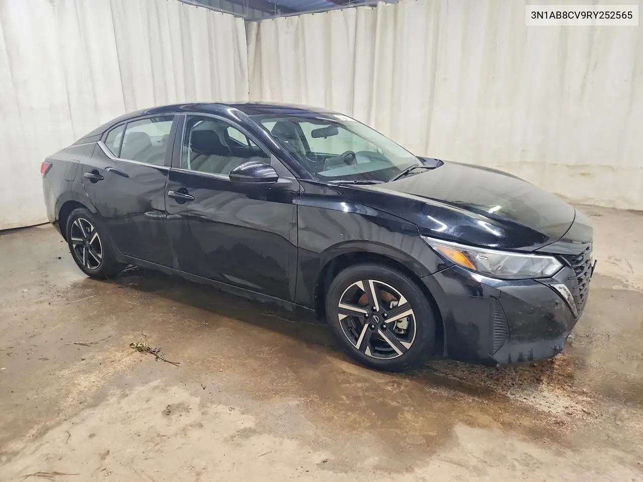 2024 Nissan Sentra Sv VIN: 3N1AB8CV9RY252565 Lot: 50219606