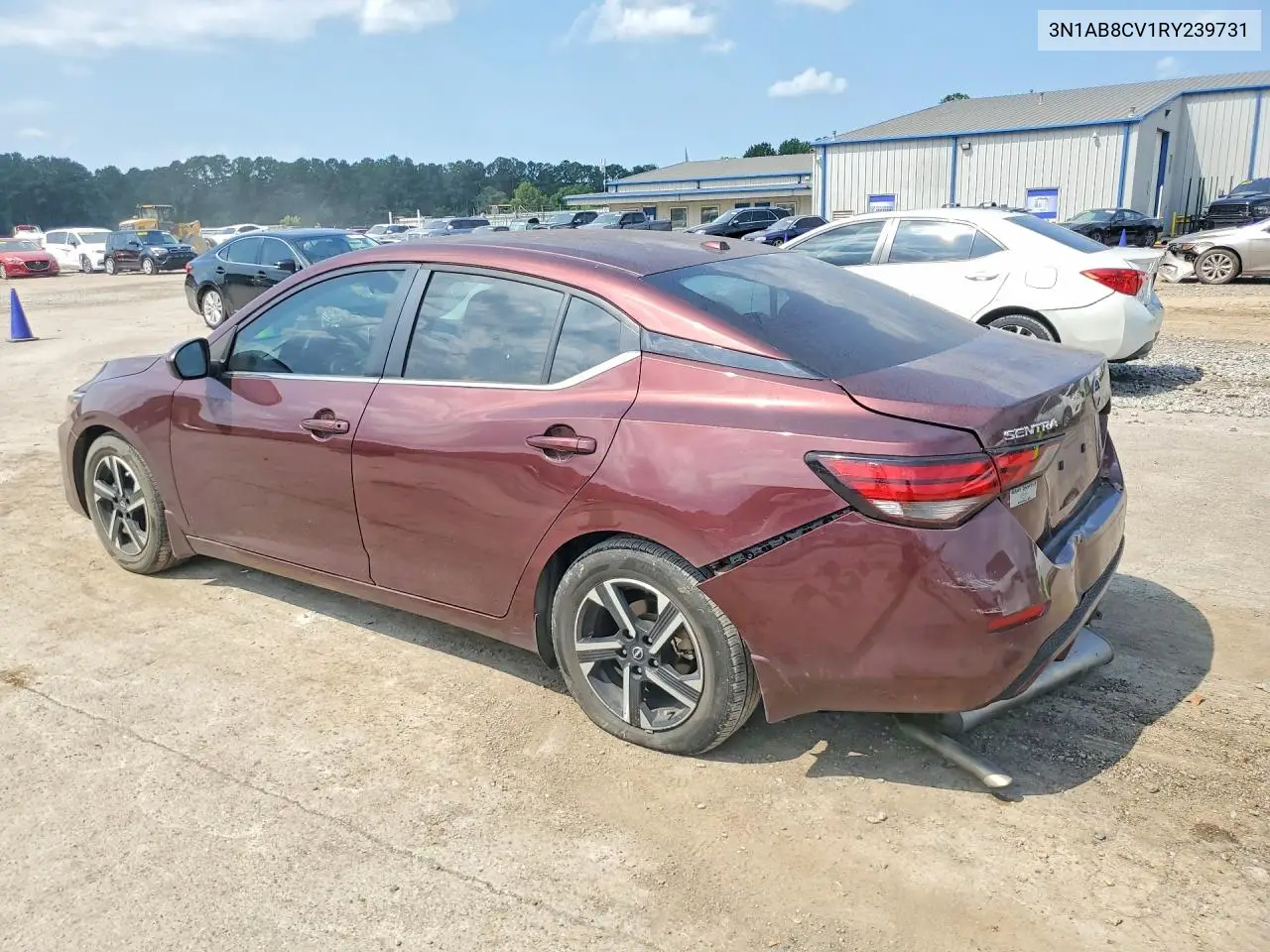 2024 Nissan Sentra Sv VIN: 3N1AB8CV1RY239731 Lot: 59246366