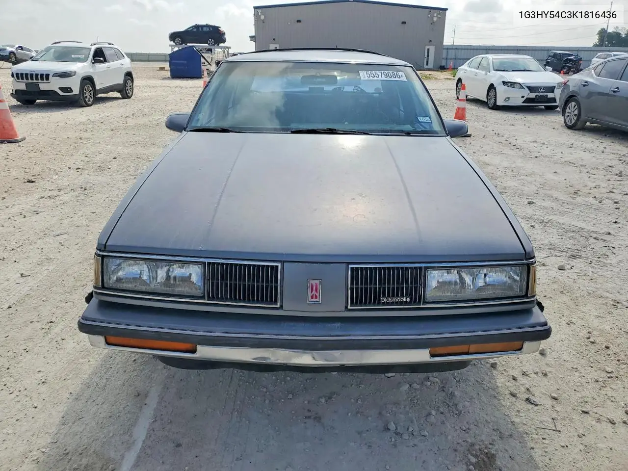 1989 Oldsmobile Delta 88 Royale Brougham VIN: 1G3HY54C3K1816436 Lot: 55579086