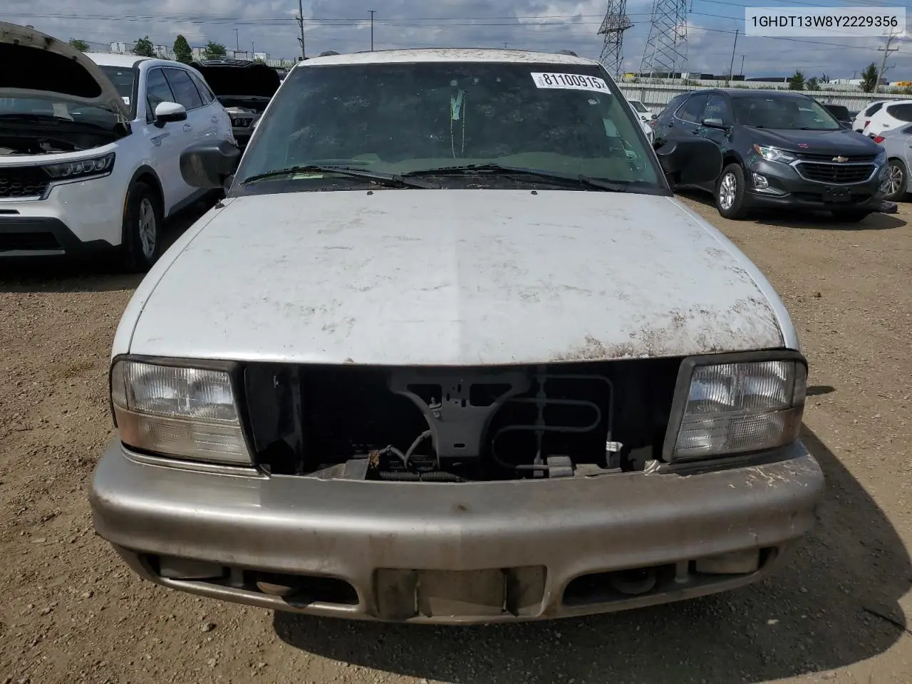 2000 Oldsmobile Bravada VIN: 1GHDT13W8Y2229356 Lot: 52248086