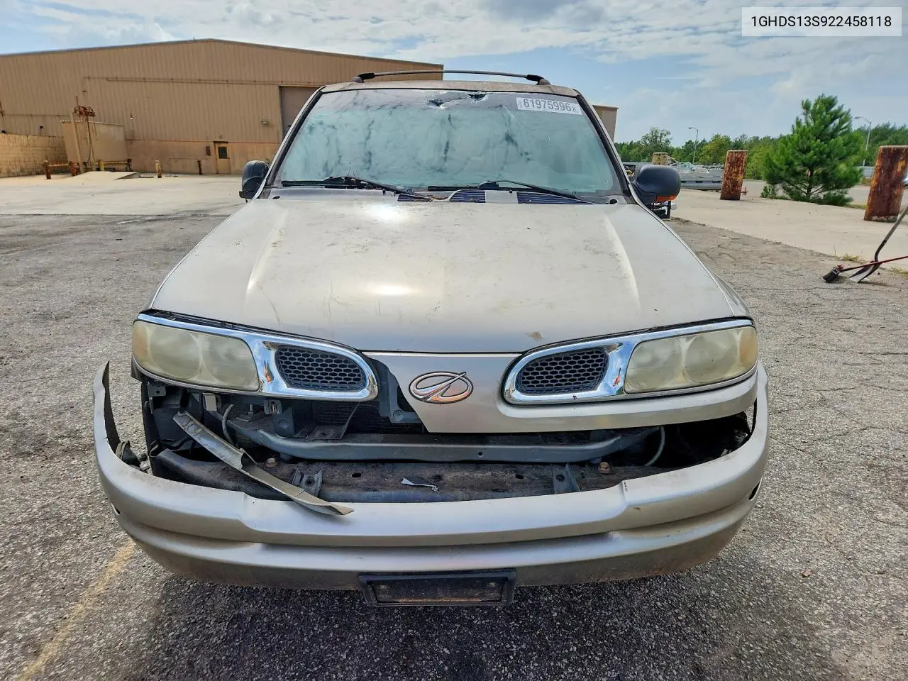2002 Oldsmobile Bravada VIN: 1GHDS13S922458118 Lot: 61975996