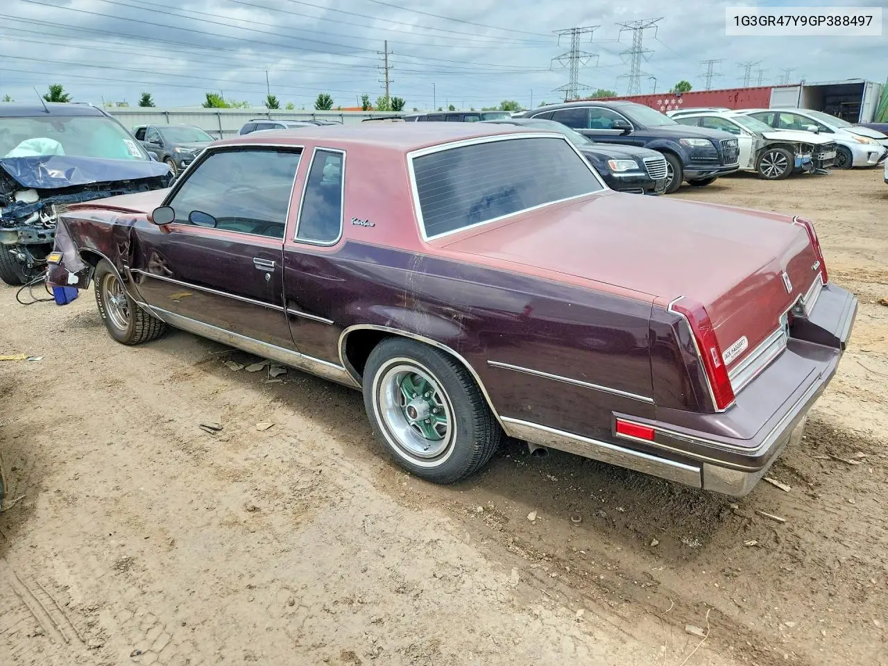 Cutlass