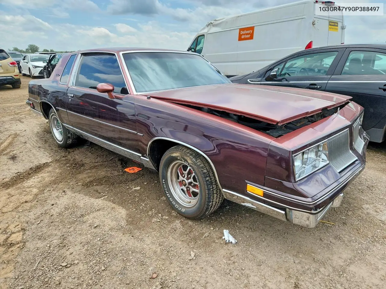 Cutlass