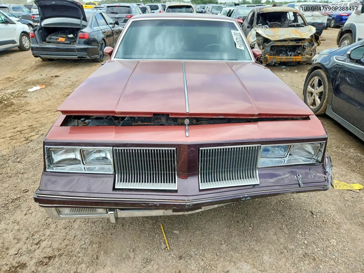 Cutlass