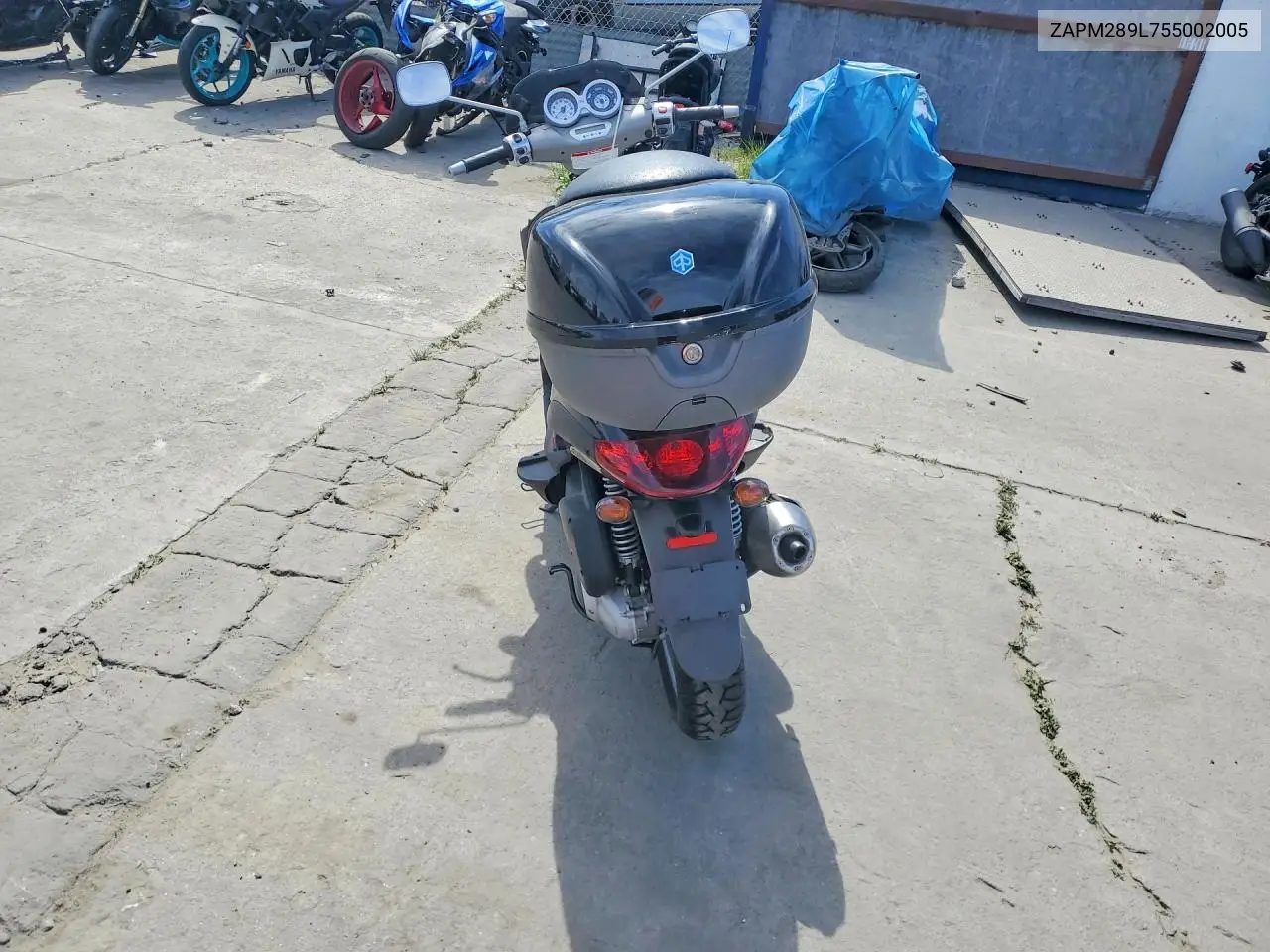 bv
