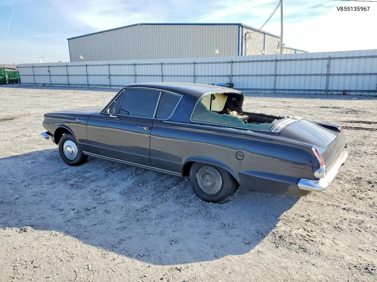 Barracuda