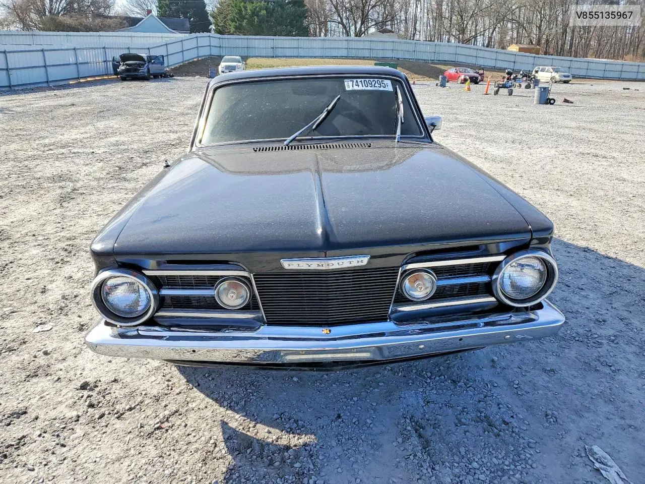 Barracuda