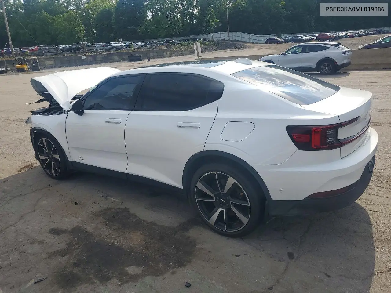 2021 Polestar 2 VIN: LPSED3KA0ML019386 Lot: 59095806