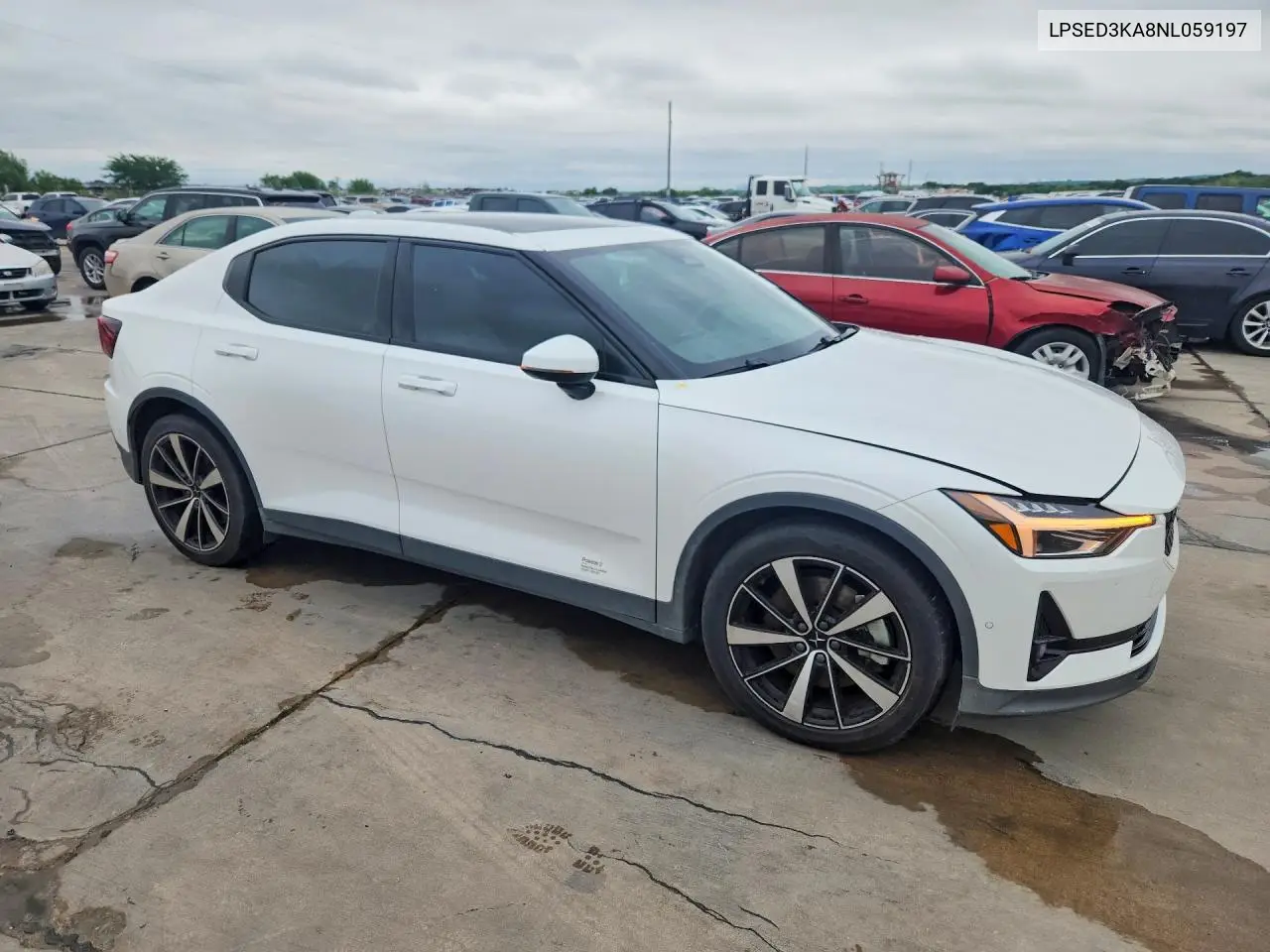 2022 Polestar 2 VIN: LPSED3KA8NL059197 Lot: 50578266