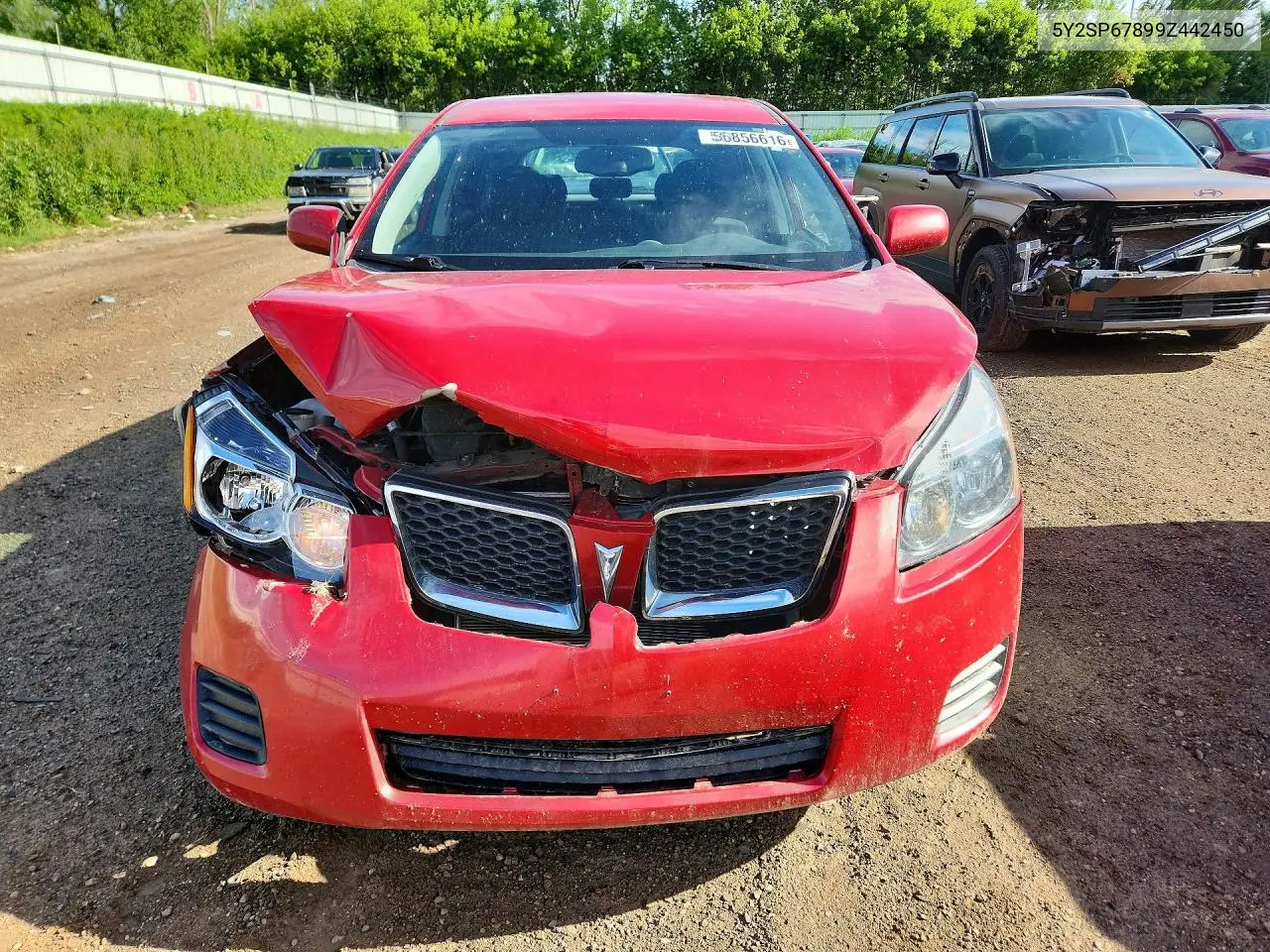 2009 Pontiac Vibe VIN: 5Y2SP67899Z442450 Lot: 56856616