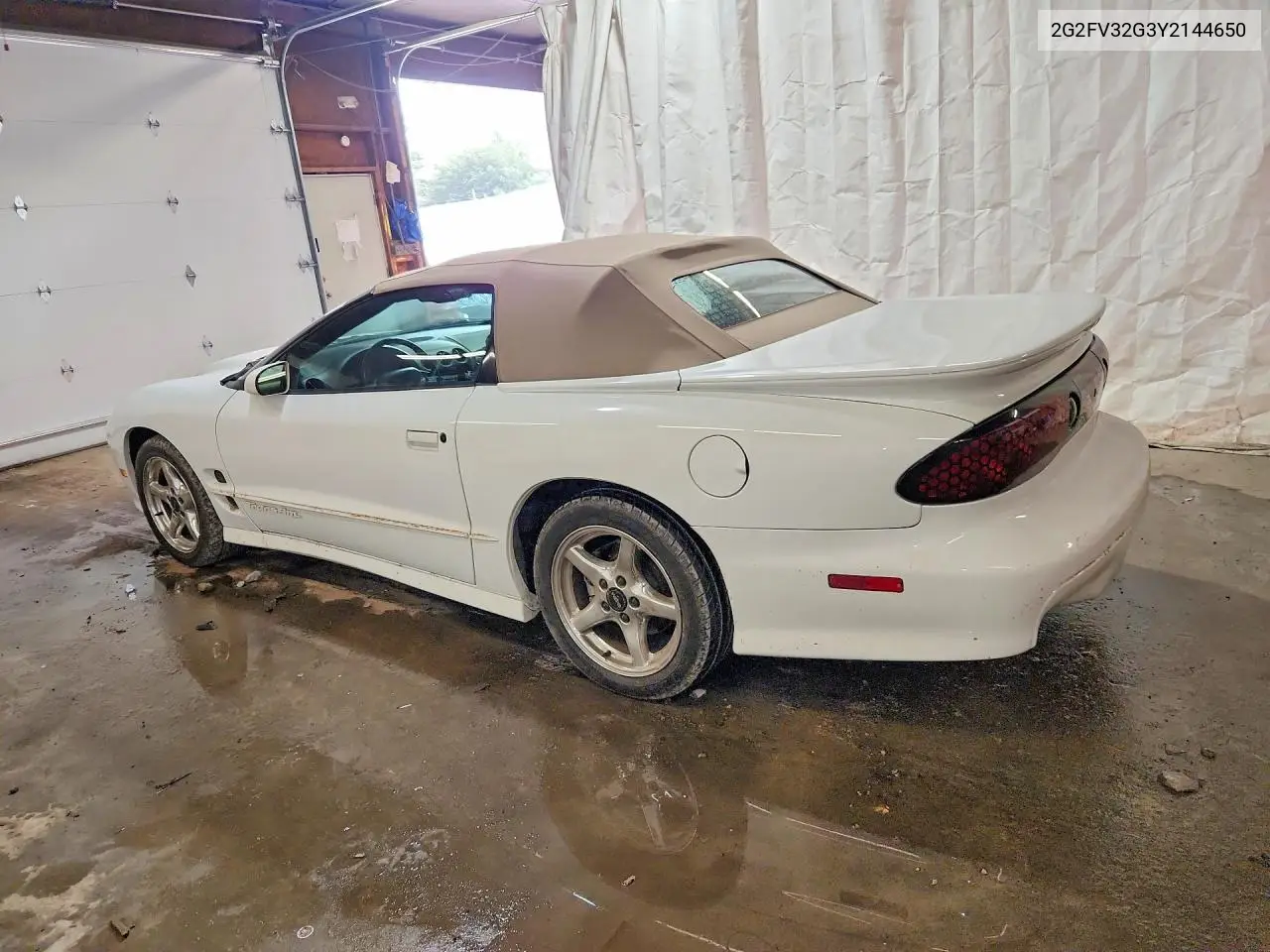 2000 Pontiac Firebird Trans Am VIN: 2G2FV32G3Y2144650 Lot: 61223066